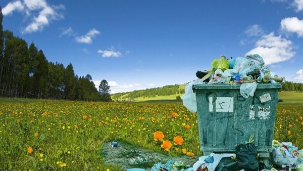 Изгаряне на отпадъци